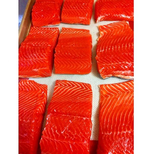 Salmon