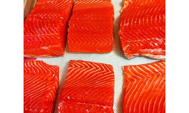 Salmon