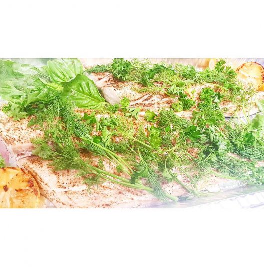 Catering: Steamed and flame torched whole fillets of wild-caught Mahi-mahi,  grilled lemons,  Chipotle spice,  Himalayan pink salt, organic dill and basil