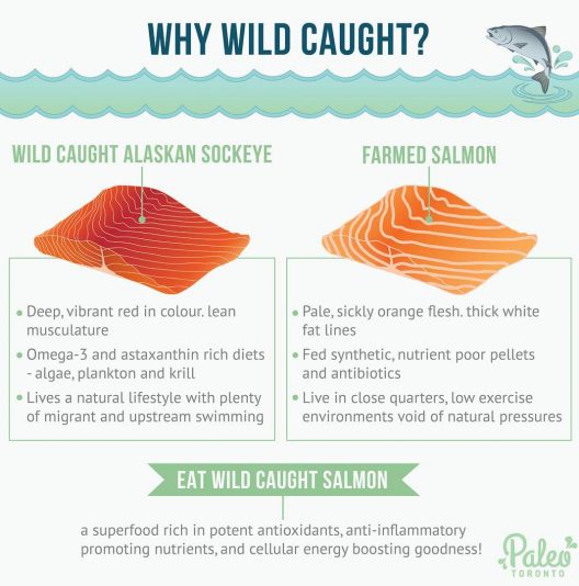 Next up in our info graphic series.. Why eat wild caught fish??